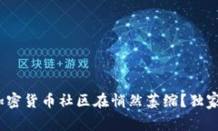 专家解读：为何加密货币社区在悄然萎缩？独家