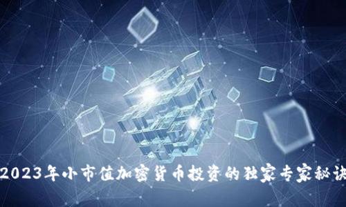 2023年小市值加密货币投资的独家专家秘诀