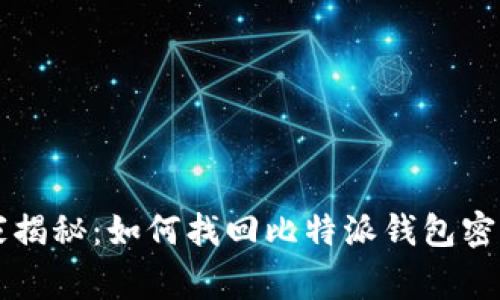 专家独家揭秘：如何找回比特派钱包密码的秘诀