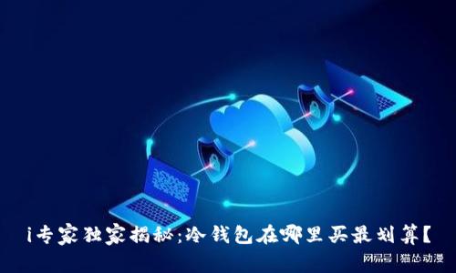 i专家独家揭秘：冷钱包在哪里买最划算？