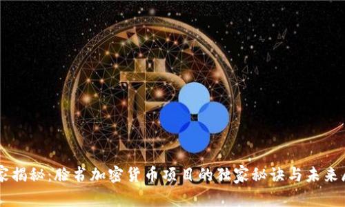 专家揭秘：脸书加密货币项目的独家秘诀与未来展望