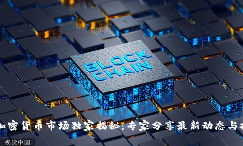 墨西哥加密货币市场独家揭秘：专家分享最新动态与投资秘诀
