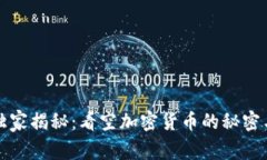 专家独家揭秘：看空加密货币的秘密与策略