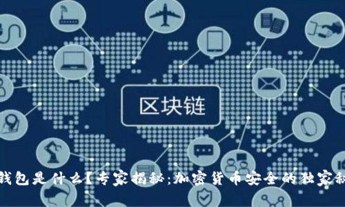 冷钱包是什么？专家揭秘：加密货币安全的独家秘诀