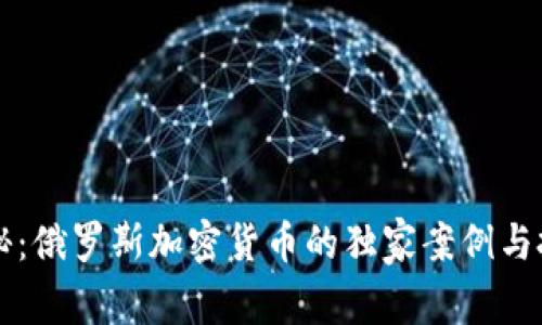 专家揭秘：俄罗斯加密货币的独家案例与投资秘诀