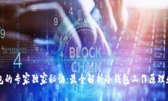 监控冷钱包的专家独家秘诀：最全解析冷钱包工