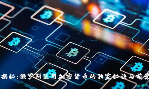 专家揭秘：俄罗斯使用加密货币的独家秘诀与前景分析
