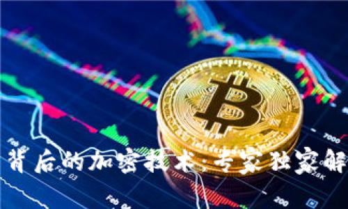 揭秘加密货币背后的加密技术：专家独家解读与使用秘诀