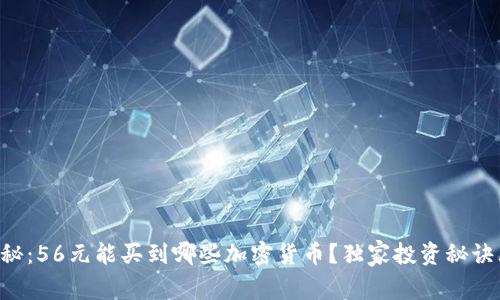 专家揭秘：56元能买到哪些加密货币？独家投资秘诀大公开！
