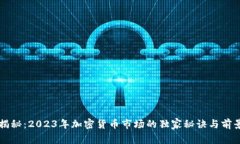 专家揭秘：2023年加密货币市场的独家秘诀与前景