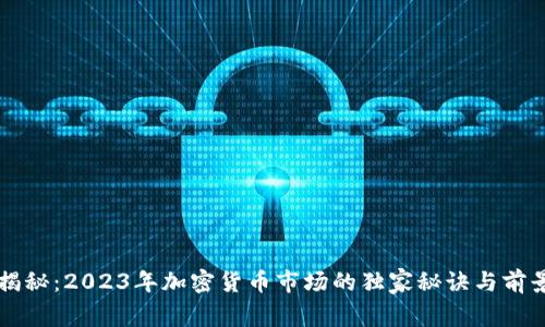 专家揭秘：2023年加密货币市场的独家秘诀与前景分析