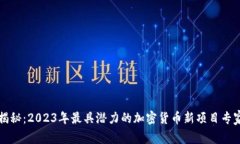 独家揭秘：2023年最具潜力的加密货币新项目专家