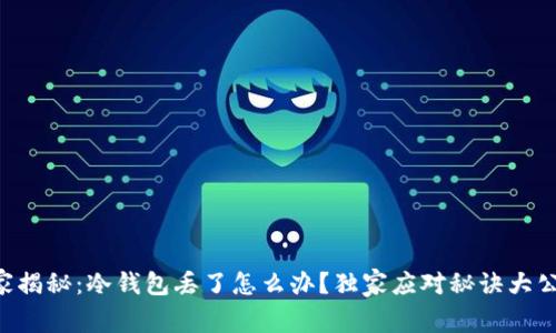 专家揭秘：冷钱包丢了怎么办？独家应对秘诀大公开！