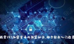 专家揭露VET加密货币的独家秘诀，助你轻松入门