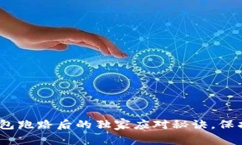 专家解读：冷钱包跑路后的独家应对秘诀，保护你的资产安全