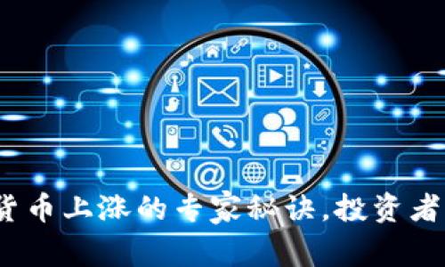独家揭秘：加密货币上涨的专家秘诀，投资者必须知道的真相
