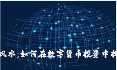 加密货币的风水：如何在数字货币投资中找到平衡之道