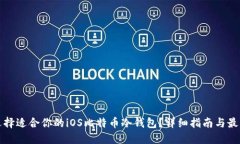 如何选择适合你的iOS比特币冷钱包？详细指南与