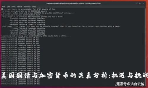 美国国债与加密货币的关系分析：机遇与挑战