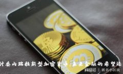 深入探讨委内瑞拉新型加密货币：未来金融的希