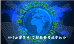 ANS加密货币：了解趋势与投资机会