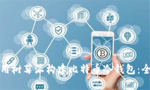 如何使用树莓派构建比特币冷钱包：全面指南