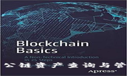 冷钱包公链资产查询与管理指南