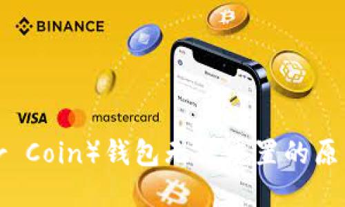 派币（Pioneer Coin）钱包无法重置的原因及解决方案