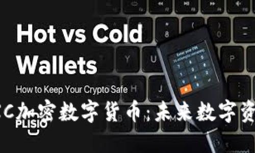 深入探索TXC加密数字货币：未来数字资产的风向标