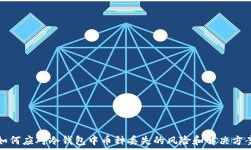   
如何应对冷钱包中币种丢失的风险和解决方案