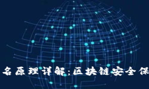 冷钱包扫码签名原理详解:区块链安全保障的核心技术