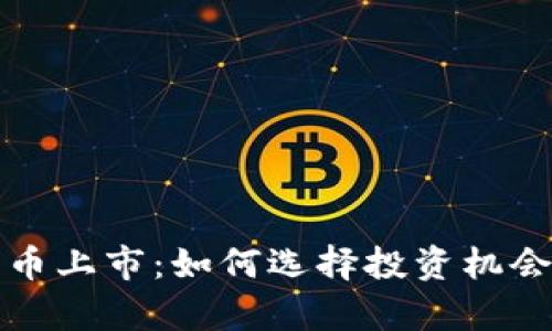 加密数字货币上市：如何选择投资机会与风险分析
