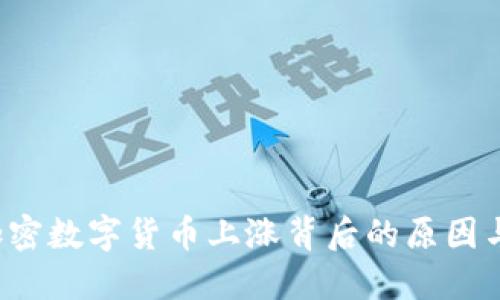 2023年加密数字货币上涨背后的原因与未来展望
